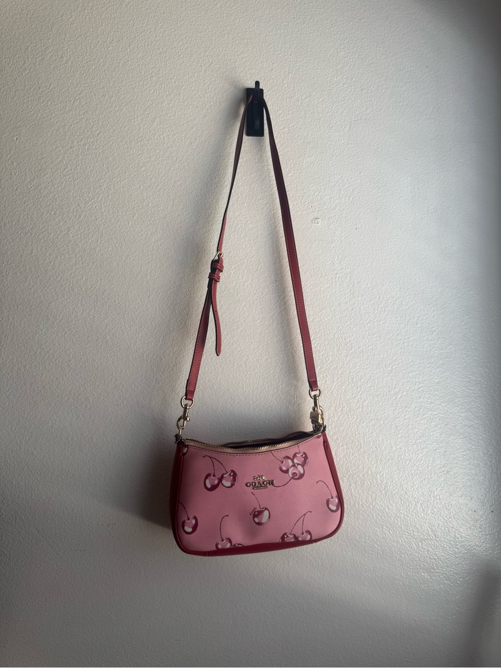Cherry Print Coach Bag - Picture 7 of 7